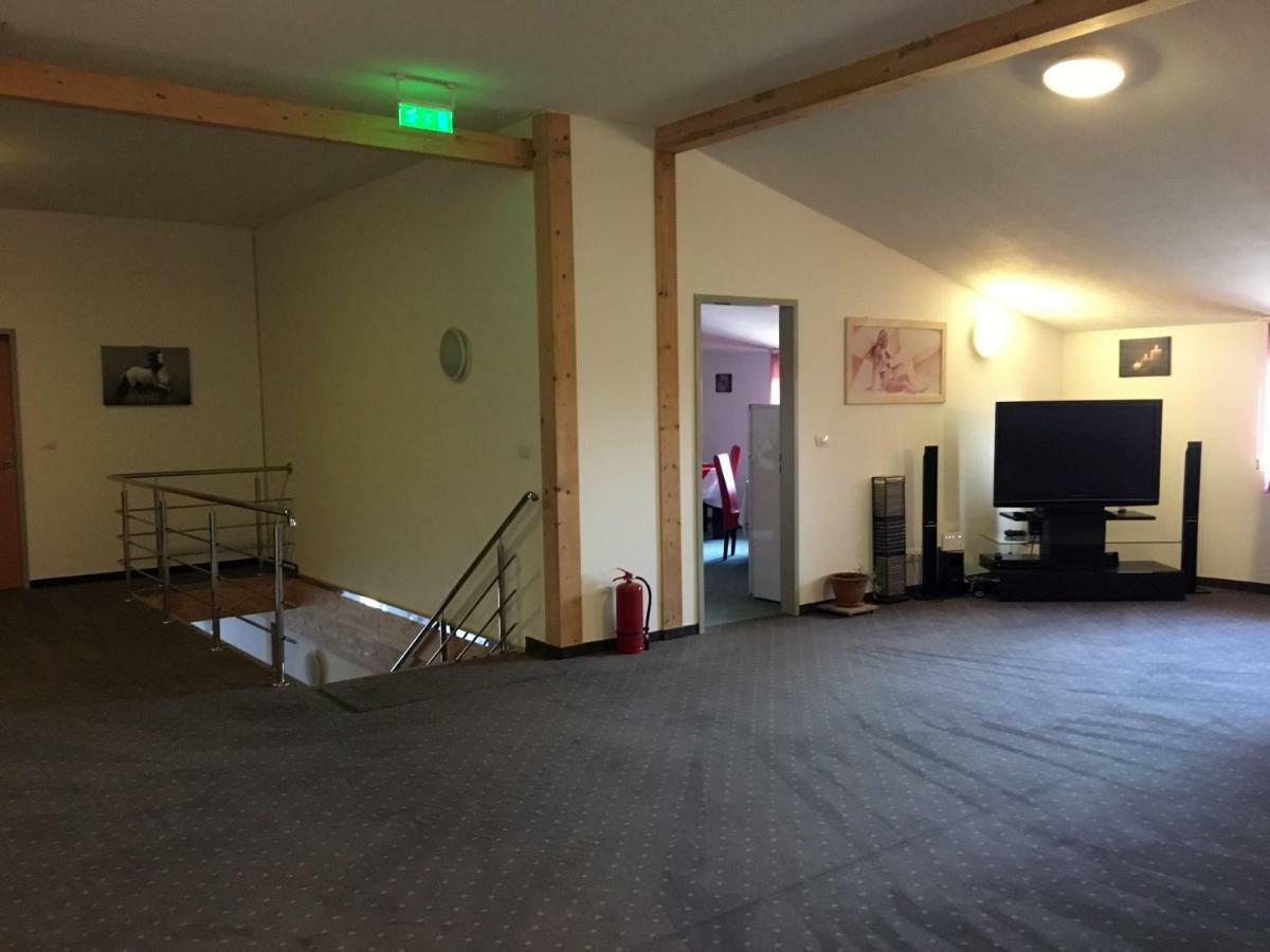 Ranch Robert Hotel Dudestii Noi Zewnętrze zdjęcie